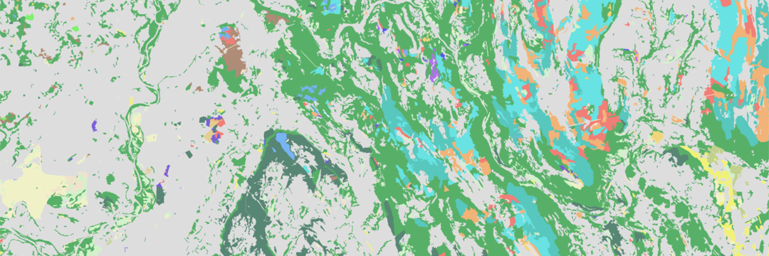  Carte Forestière V2 